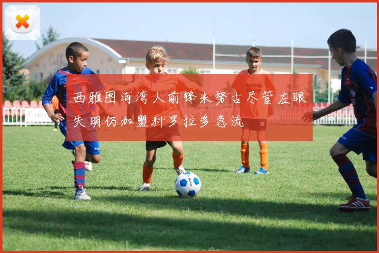 西雅图海湾人前锋米努古尽管左眼失明仍加盟科罗拉多急流