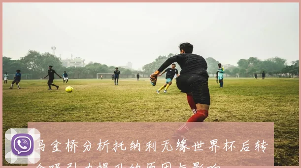 马金桥分析托纳利无缘世界杯后转会吸引力提升的原因与影响